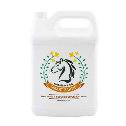 Picture of CAMELINA OIL OMEGA 3 EQUINE SUPPLEMENT - 3.78 litre