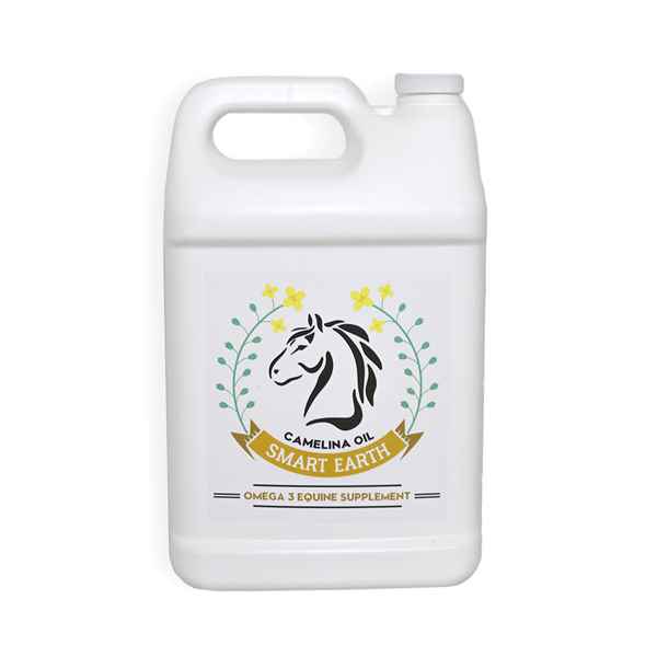 Picture of CAMELINA OIL OMEGA 3 EQUINE SUPPLEMENT - 3.78 litre