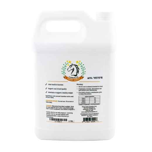 Picture of CAMELINA OIL OMEGA 3 EQUINE SUPPLEMENT - 3.78 litre