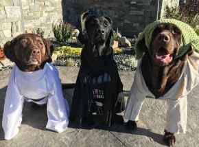 Picture for category Seasonal