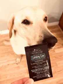 Picture for category Supplements