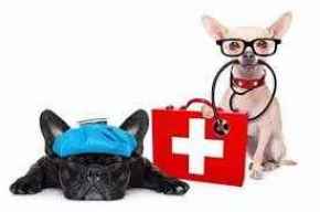 Picture for category First Aid Kits and Supplies