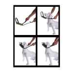 Picture of MUZZLE CANINE EZ MUZZLE (J1507S) - Set of 3 Sizes