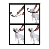 Picture of MUZZLE CANINE EZ MUZZLE (J1507S) - Set of 3 Sizes