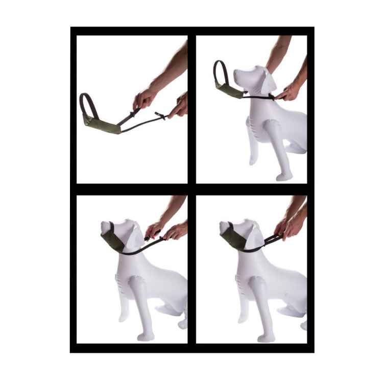 Picture of MUZZLE CANINE EZ MUZZLE (J1507S) - Set of 3 Sizes