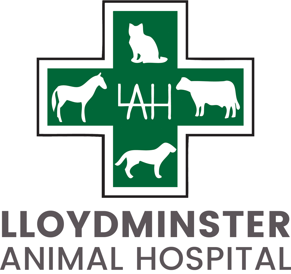 Lloydminster Animal Hospital