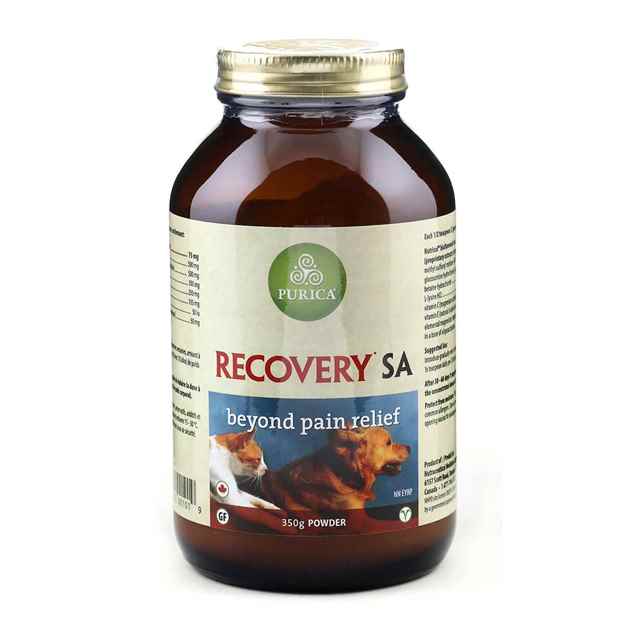 Picture of RECOVERY NUTRACEUTICAL CANINE/FELINE POWDER