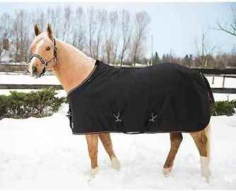 Picture for category Equine Gear
