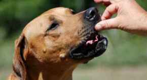 Picture for category Vitamins &amp; Minerals