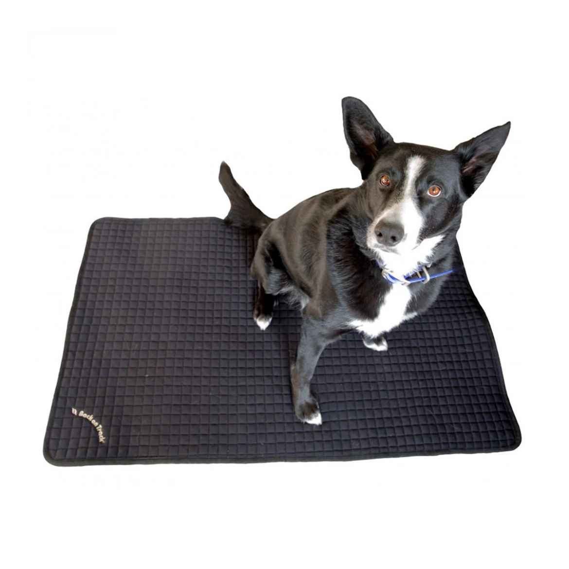 Picture of BACK ON TRACK DOG PET MAT Black - 100cm x 68cm