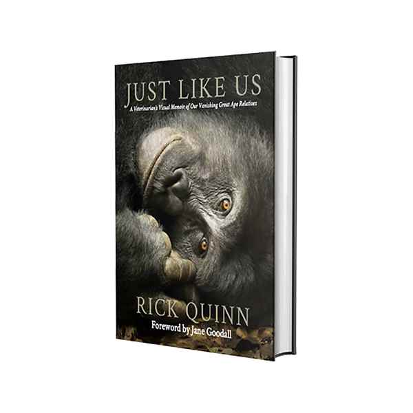 Picture of JUST LIKE US BOOK by RICK QUINN