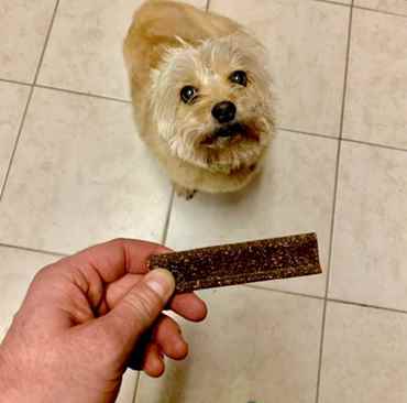 Picture for category Therapeutic Treats