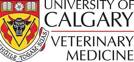 Calgary Association of Veterinarian Students