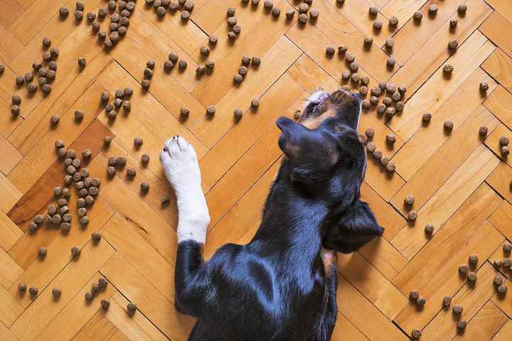 Picture for category Therapeutic  Treats