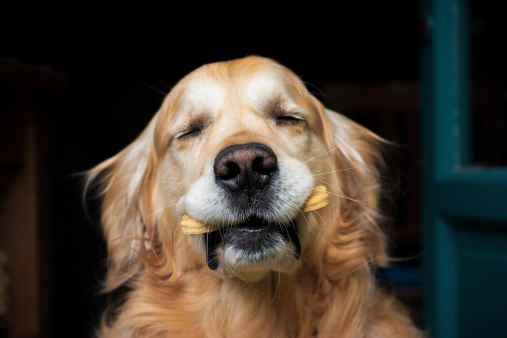 Picture for category Other Treats