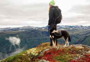 Picture for category Supplements & Vitamins