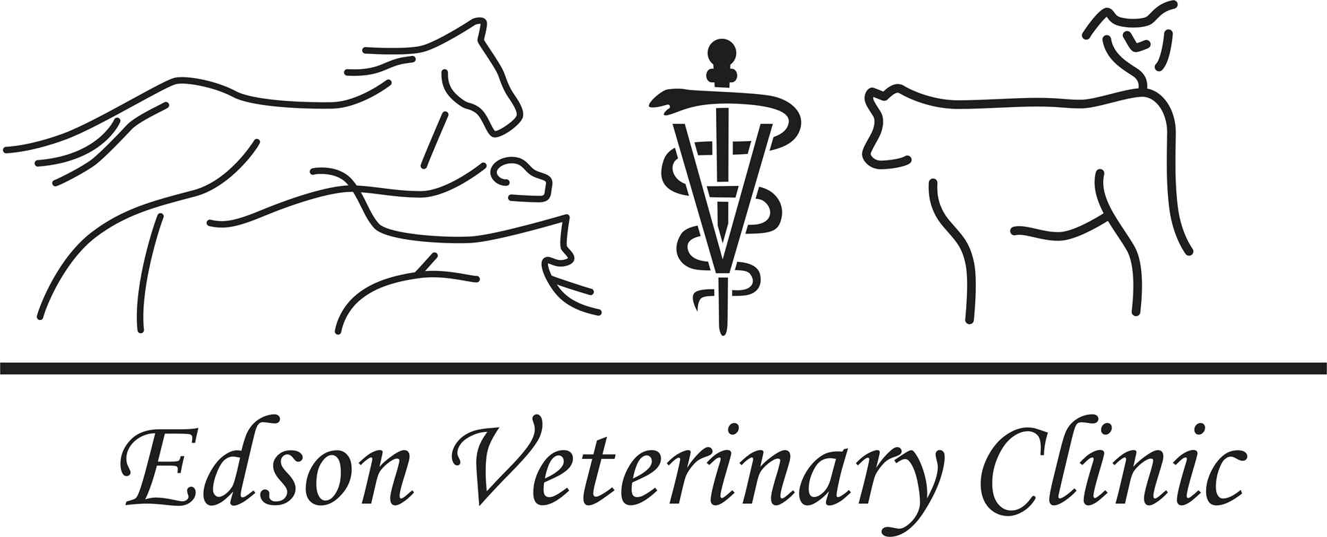 Edson Veterinary Clinic