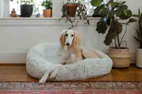 Picture for category Accessories