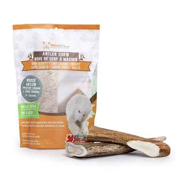 Picture of TREAT CANINE Moose Antler Chew Large - 1/2 lb