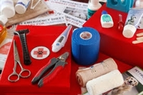 Picture for category First Aid Kits and Supplies