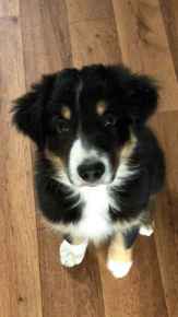 Picture for category Dr. Victoria's Favourites