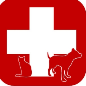 Picture for category First Aid