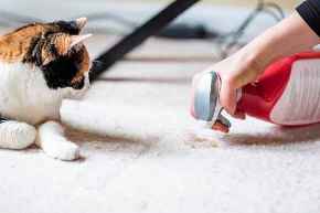 Picture for category Cleaning Supplies & Odor Eliminators