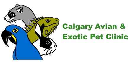 Calgary Avian & Exotic Pet Clinic