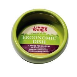 Picture of LIVING WORLD SA Ergonomic Dish Green - 120ml/4.22oz