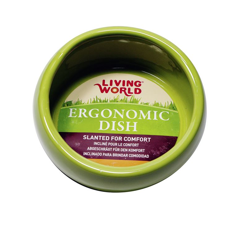Picture of LIVING WORLD SA Ergonomic Dish Green - 120ml/4.22oz