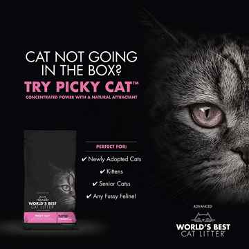 Picture of CAT LITTER WORLDS BEST(PICKY CAT) Multiple Cat Clumping - 24lbs