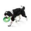 Picture of TOY DOG SEAFLEX SAILZ FRISBEE (Colors/Sizes Available)