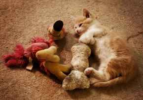 Picture for category Staff Favorites!