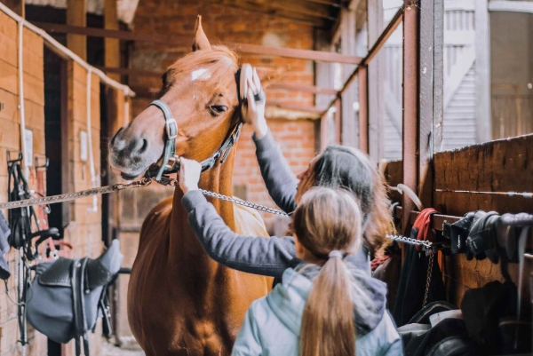Picture for category Equine Grooming