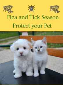 Picture for category Tick and Flea Season