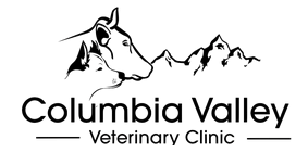 Columbia Valley Veterinary Clinic