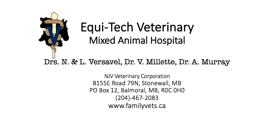 Equi-Tech Veterinary, Mixed Animal Hospital