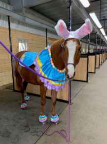 Picture for category Seasonal