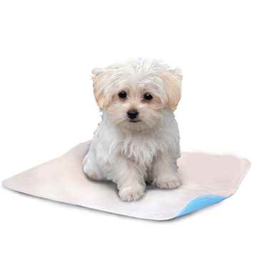 Picture of TRAINING PET PAD WASHABLE WHITE/BLUE BACKSIDE(J1588) - 18in x 24in
