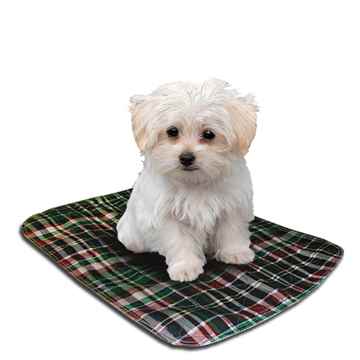 Picture of TRAINING PET PAD WASHABLE GREEN PLAID/BLUE BACKSIDE(J1588C) - 23in x 27in