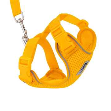 Picture of LEAD AND HARNESS COMBO RC ADVENTURE KITTY Large - Marigold