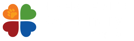 Silver Heights Veterinary Hospital