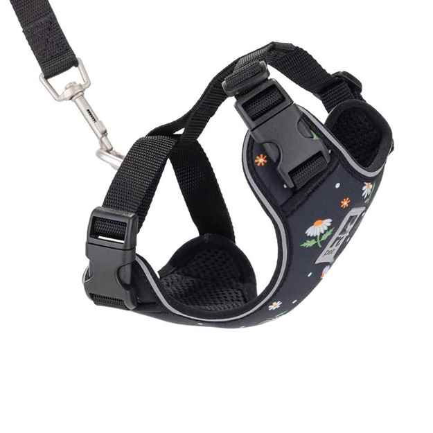 Picture of LEAD AND HARNESS COMBO RC ADVENTURE KITTY (Sizes Available)