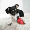 Picture of TOY DOG KONG CLASSIC RED