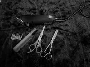 Picture for category Grooming and Trimmers