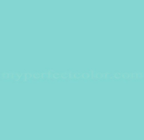 Picture for category NEW PRODUCTS