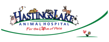 Hastings Lake Animal Hospital