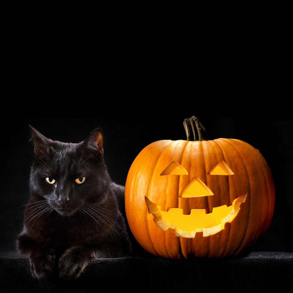 Picture for category Halloween