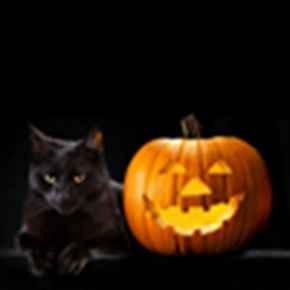 Picture for category Halloween