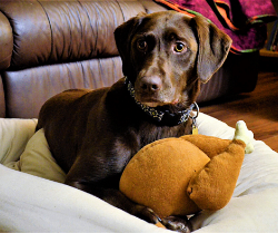 Picture for category Featured